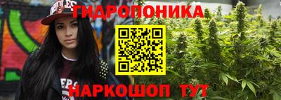 соль ск Краснодар
