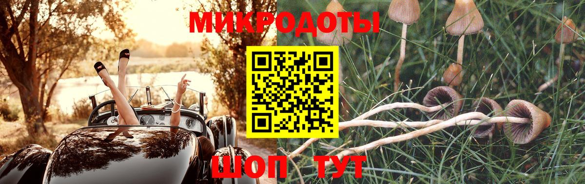 Ейск  Галлюциногенные грибы Psilocybe  Вход с VPN 